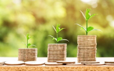 Managing your Cash Flow